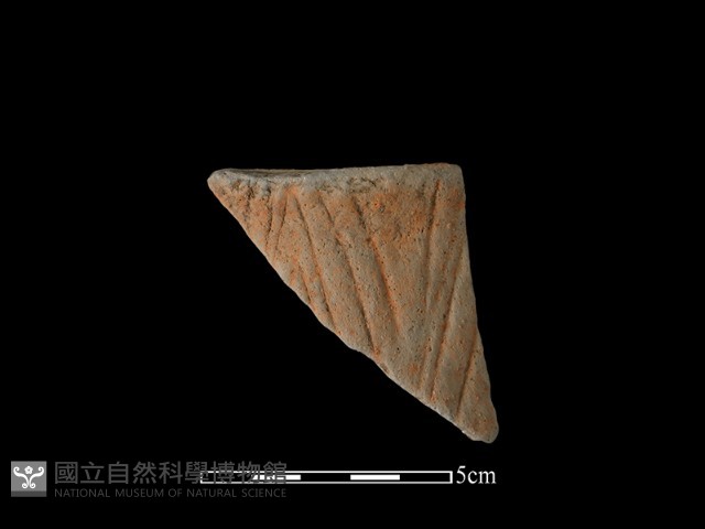 陶片藏品圖，第2張