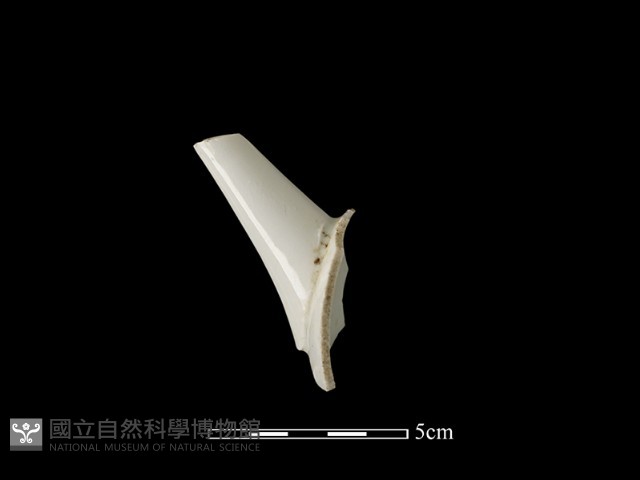 茶壺藏品圖，第2張