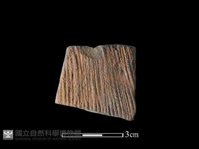 陶片藏品圖，第1張