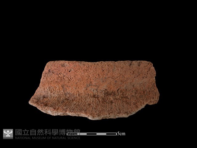 陶罐藏品圖，第1張