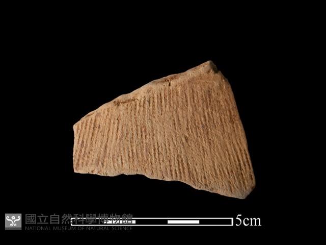 陶片藏品圖，第1張