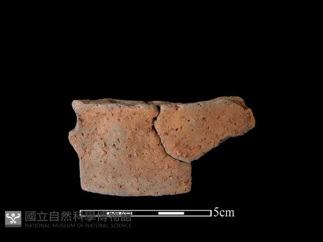 陶片藏品圖，第1張