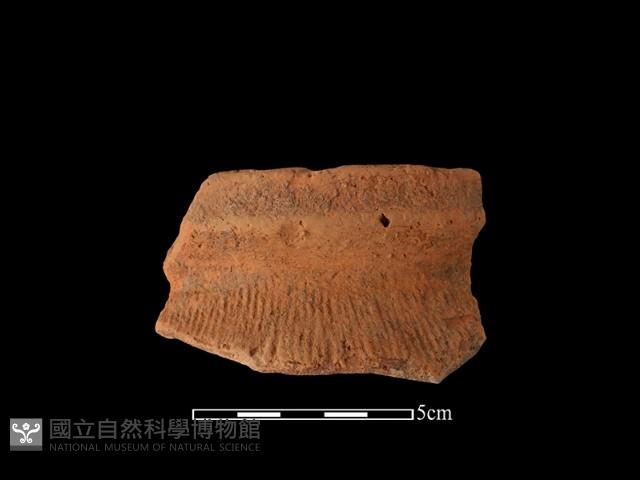 陶罐藏品圖，第2張