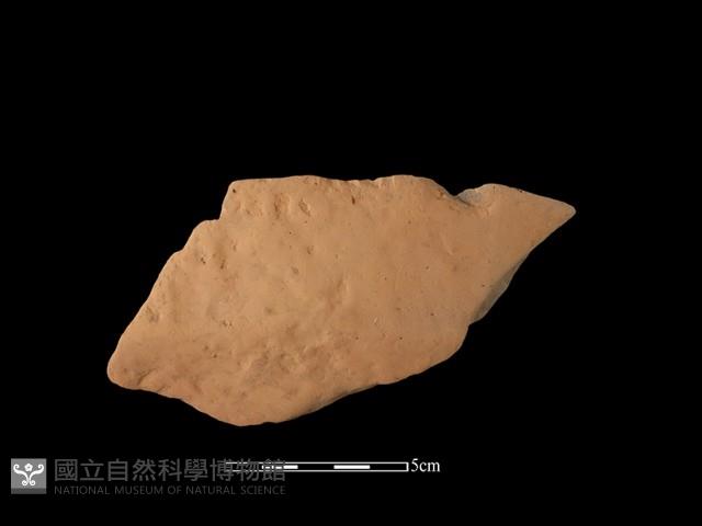 陶缽藏品圖，第1張