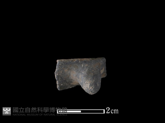 陶鈕藏品圖，第1張