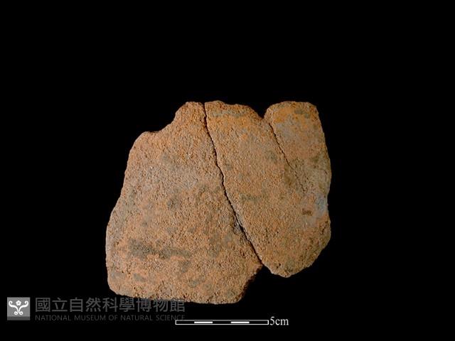 陶片藏品圖，第2張