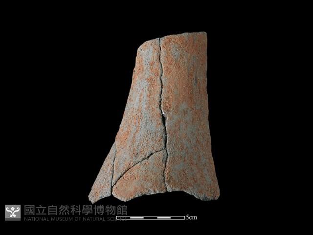 陶片藏品圖，第2張