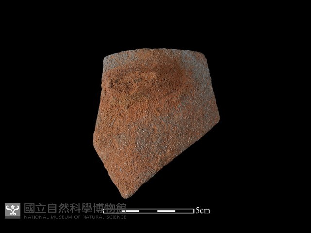 陶片藏品圖，第2張