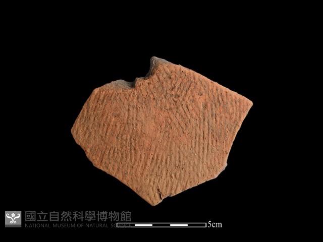 陶片藏品圖，第1張