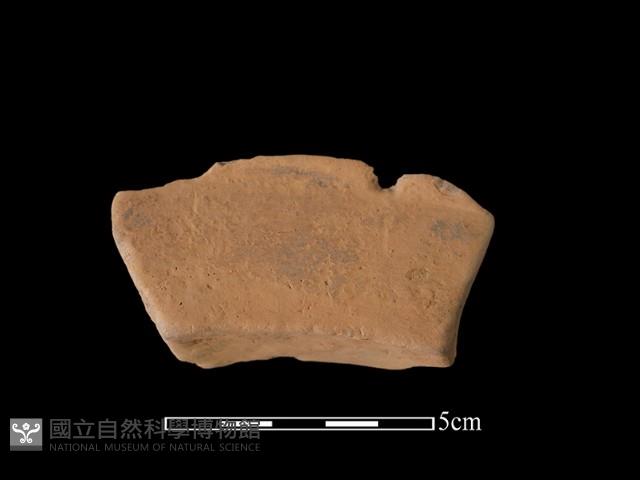 連杯形器藏品圖，第2張