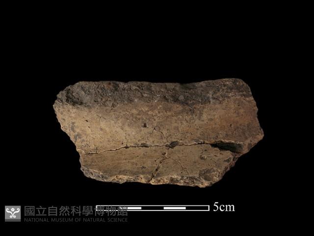 陶罐藏品圖，第2張