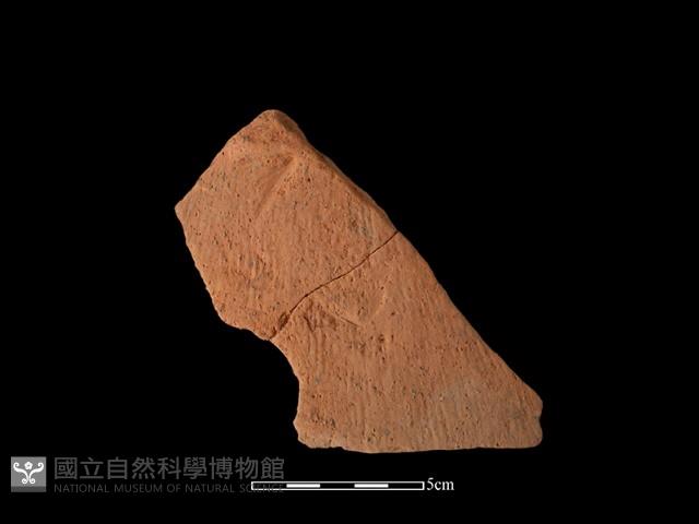 陶片藏品圖，第1張