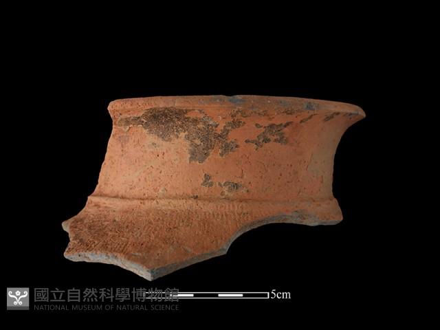 陶罐藏品圖，第2張