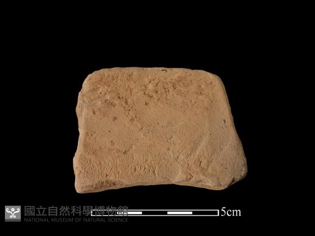 連杯形器藏品圖，第1張