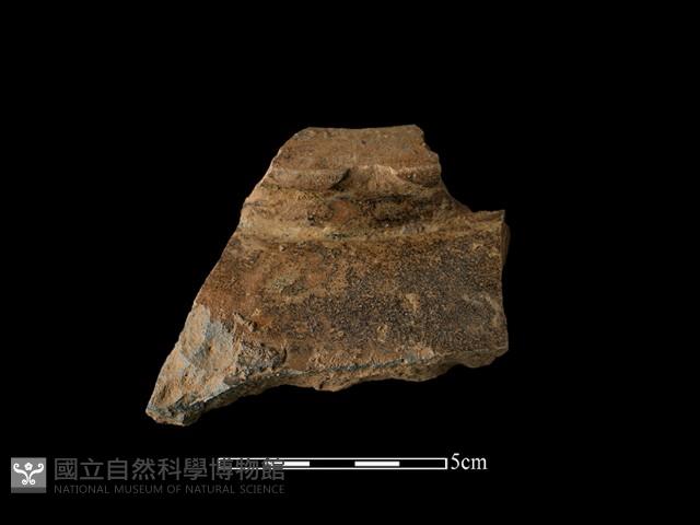 陶甕藏品圖，第1張