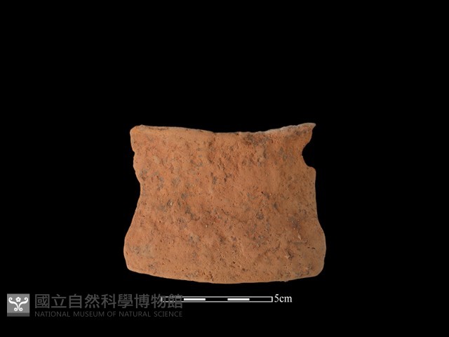 陶片藏品圖，第1張