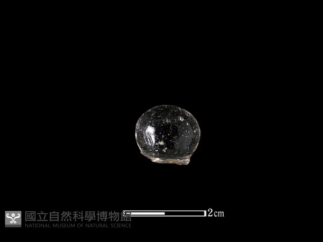 瓶塞藏品圖，第1張