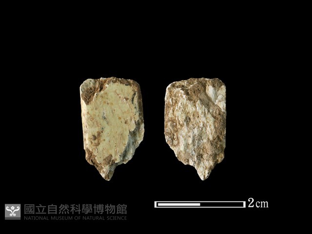 錛鑿形器藏品圖，第1張