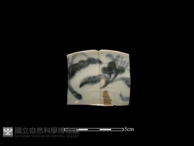 瓷片藏品圖，第1張