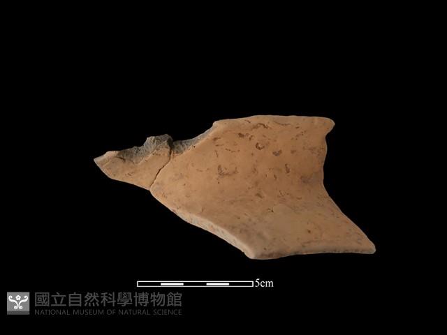 陶罐藏品圖，第2張