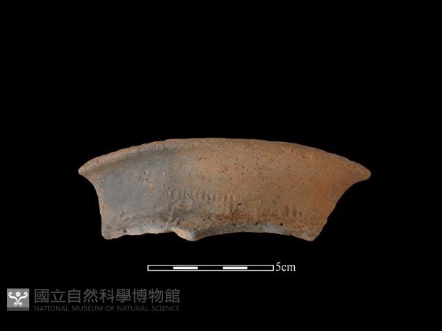 陶罐藏品圖，第2張