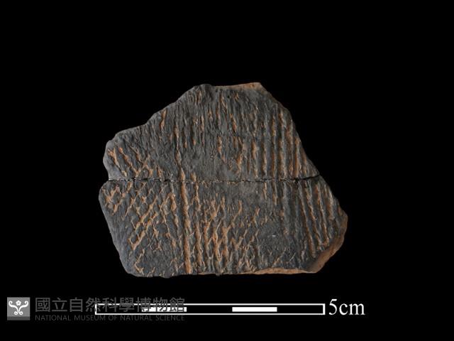 陶片藏品圖，第1張