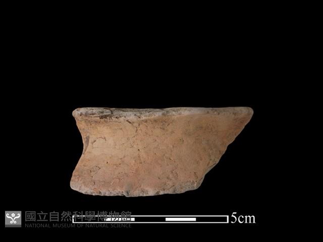 陶片藏品圖，第1張