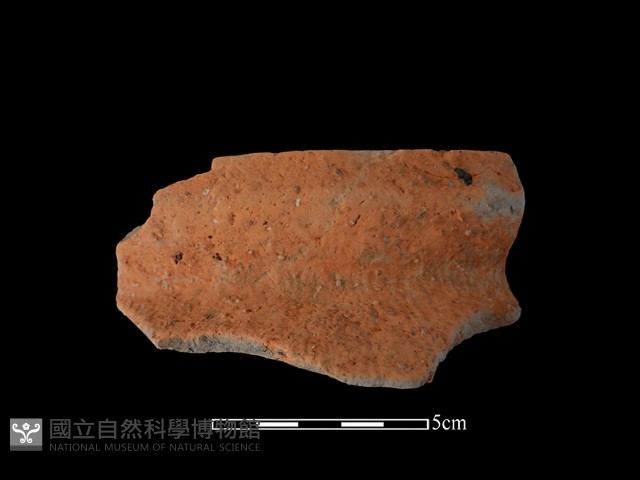 陶罐藏品圖，第2張