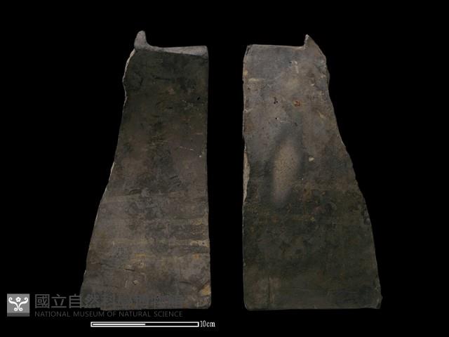 Accession Number:TCCC-2013-1095 Collection Image