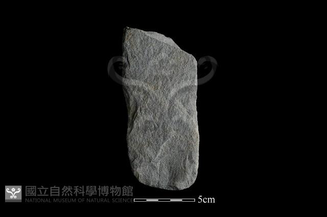 斧鋤形器藏品圖，第1張