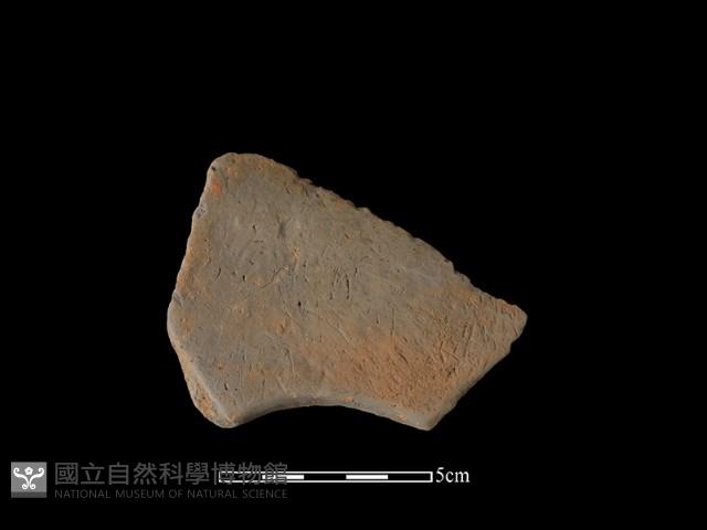 連杯形器藏品圖，第1張