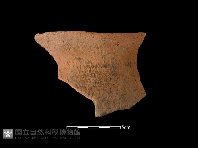 陶罐藏品圖，第2張