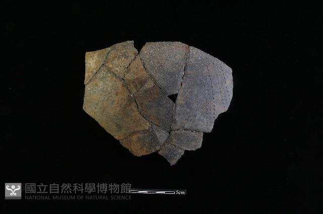 陶片藏品圖，第2張