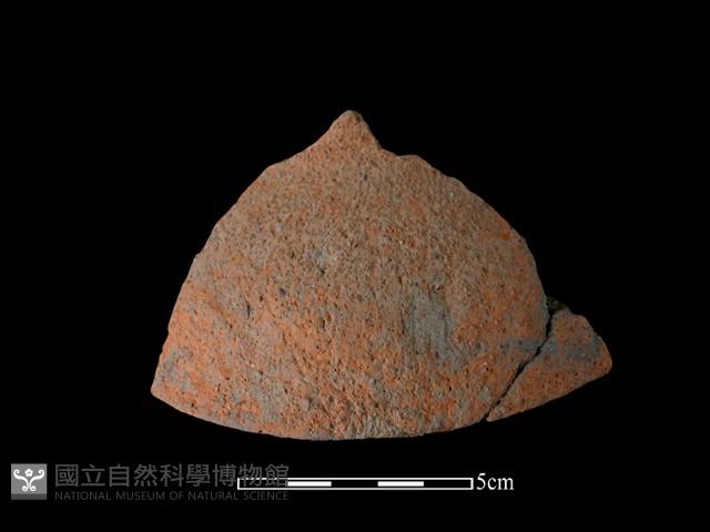 Accession Number:NSKII-2017-385 Collection Image, Figure 2, Total 2 Figures