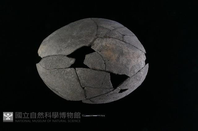 陶片藏品圖，第2張