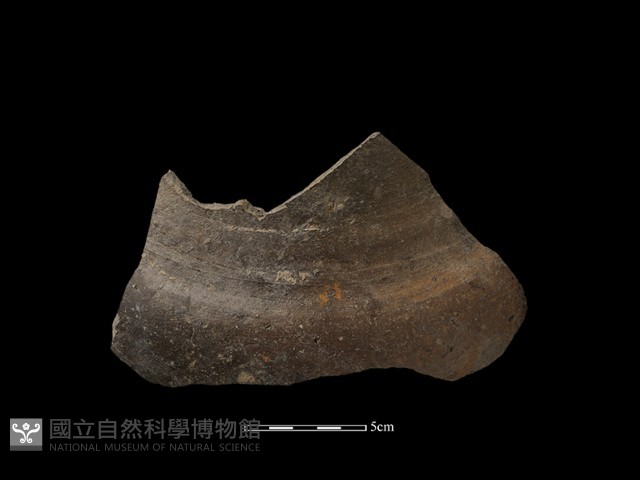 陶缸藏品圖，第1張