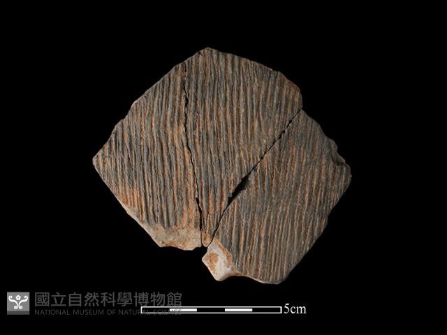 陶片藏品圖，第1張