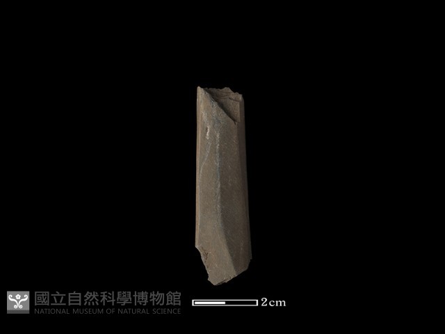 磨製石器藏品圖，第1張