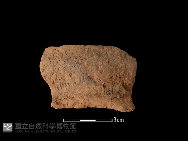 陶罐藏品圖，第2張