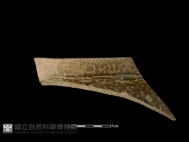 陶缸藏品圖，第1張
