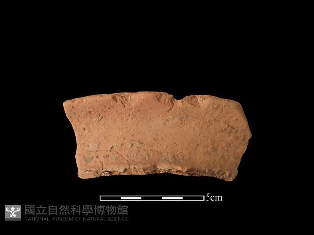 陶罐藏品圖，第2張