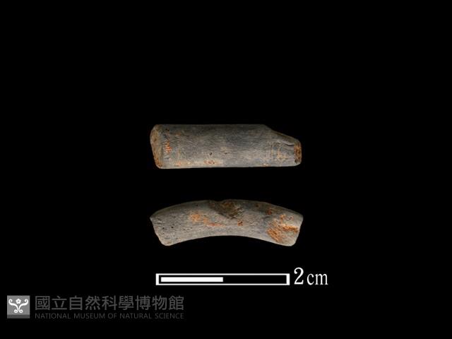 陶環藏品圖，第1張