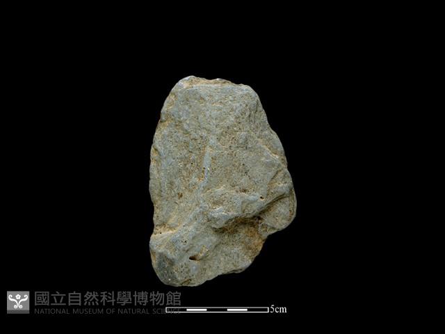 磨製斧鋤形器藏品圖，第1張