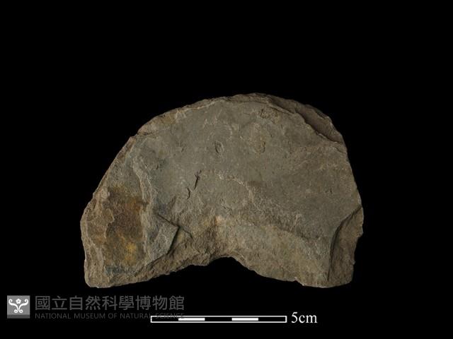 圓板形石器藏品圖，第1張