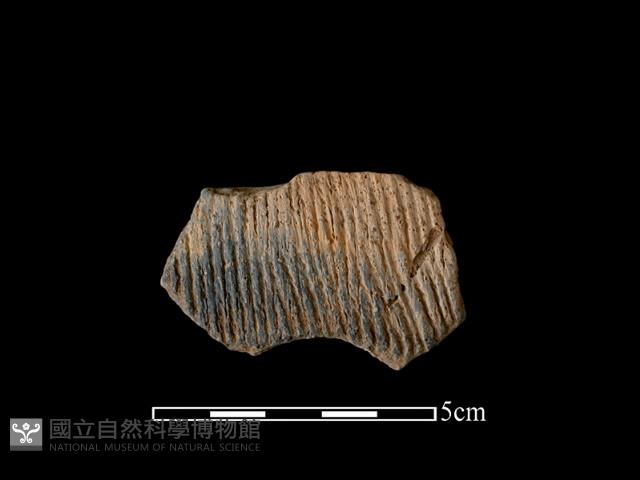 陶片藏品圖，第1張