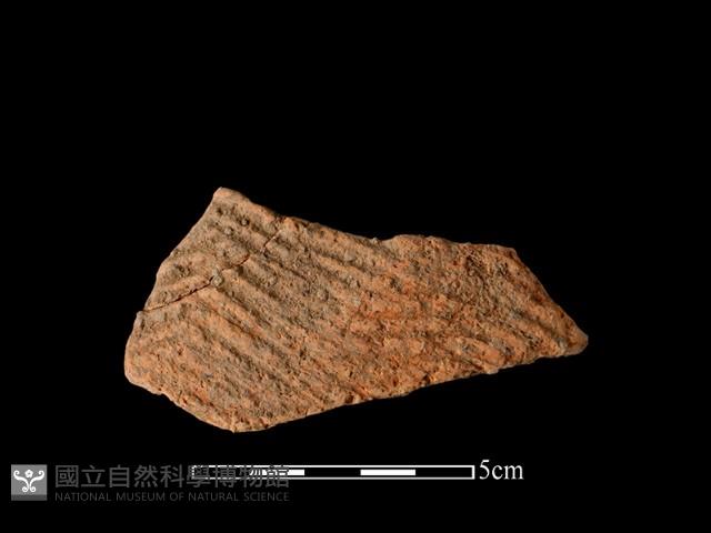 陶片藏品圖，第1張