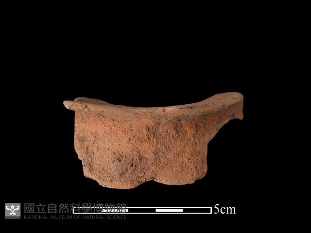 陶片藏品圖，第2張