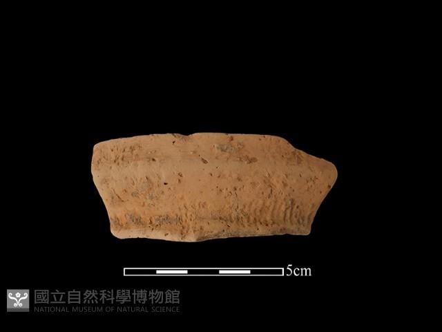 陶罐藏品圖，第1張