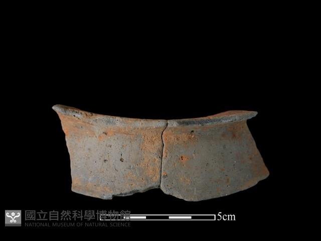 陶片藏品圖，第1張