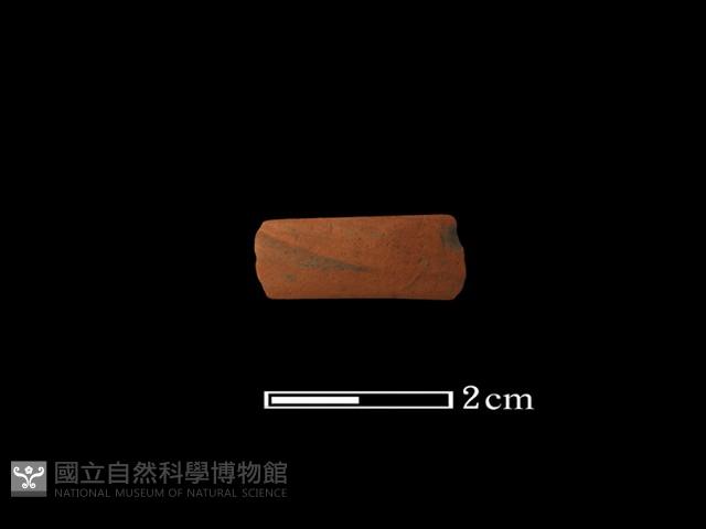 陶環藏品圖，第2張
